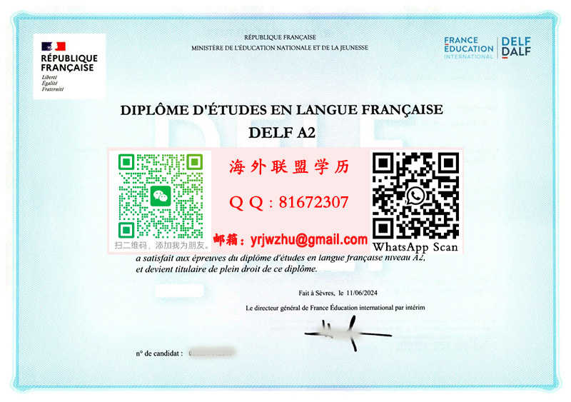 DELF 法语A2证书样本|DELF A2