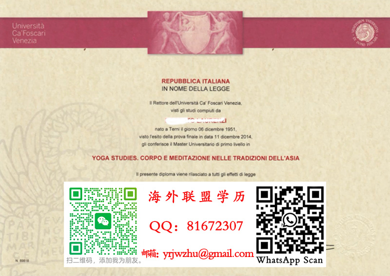 意大利威尼斯大学2015年毕业证书样本|威尼斯大学文凭
